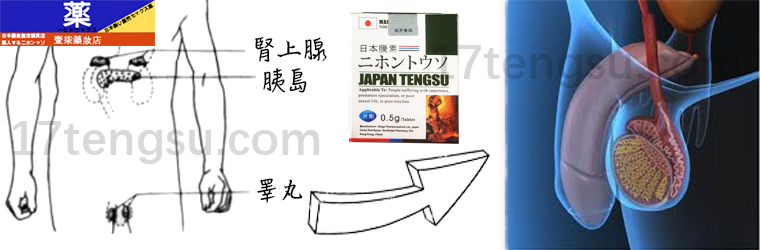 日本藤素對精液作用