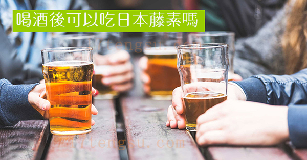 喝酒可以吃日本藤素嗎